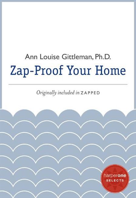 Zap Proof Your Home